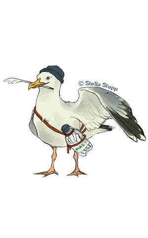 Möwe Marvin mit blauer Mütze und Feder im Schnabel